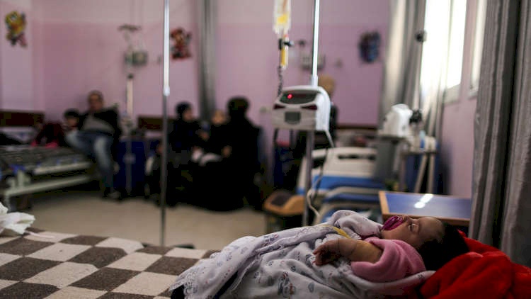 12 حالة وفاة في غزة بسبب انفلونزا الخنازير