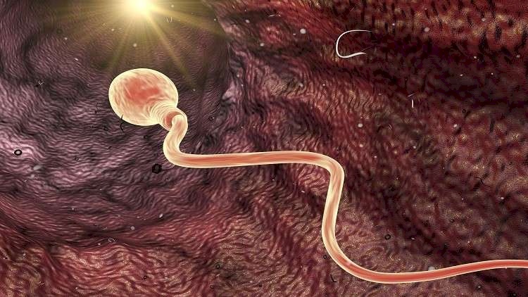 اذا اراد الرجل إنجاب الأطفال  يجب  عليه التوقف عن تعاطي هذه المادة