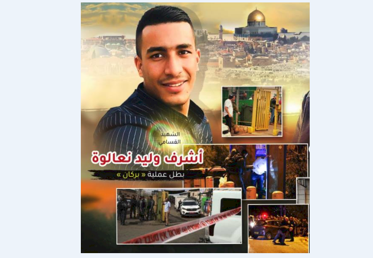 صورة: أشرف نعالوة يبعث من جديد