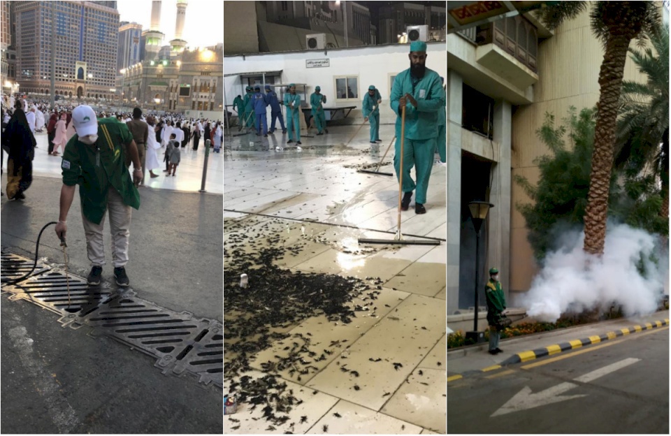 ما قصة الحشرات في مكة؟