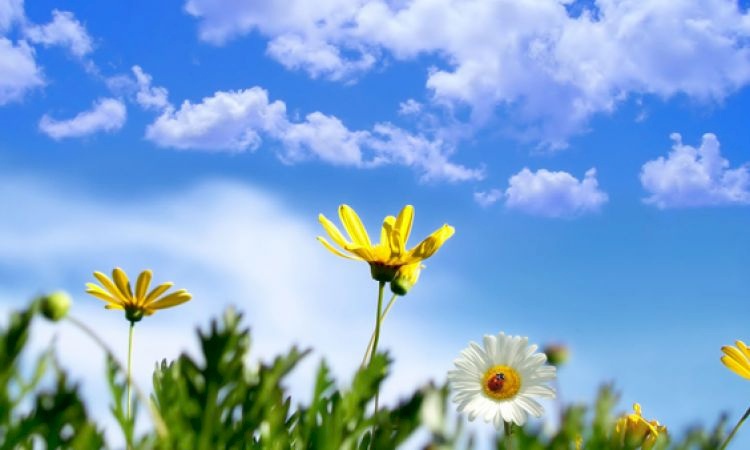 ارتفاع على درجات الحرارة