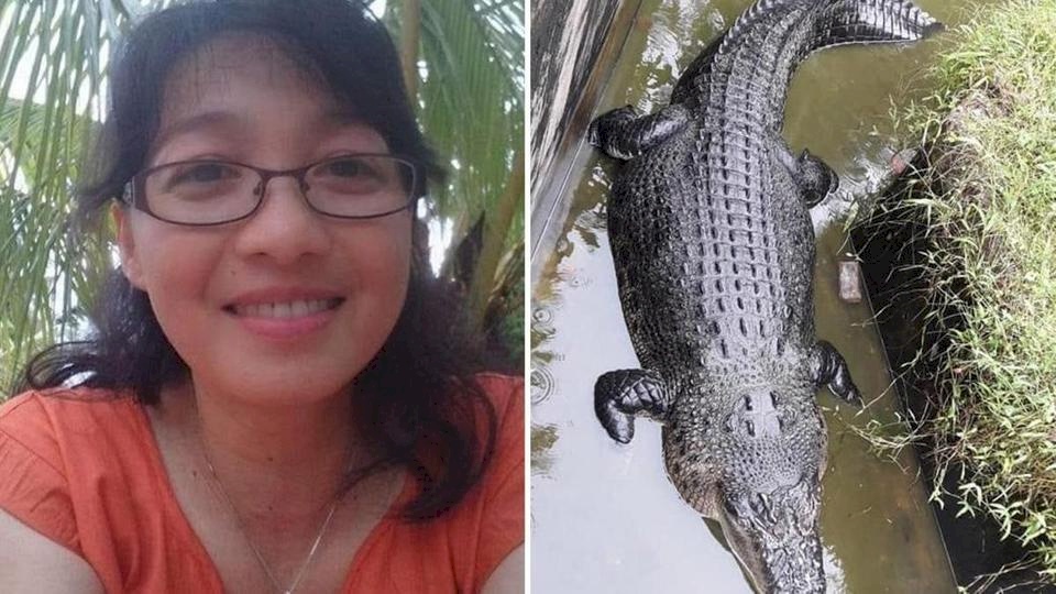 صور: تمساح يلتهم عالمة أحياء حية.. أشلاؤها اكتشفت بين فكيه