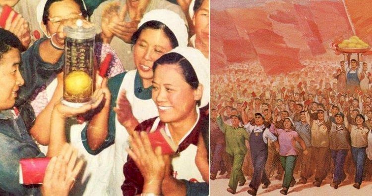 فاكهة استوائية غزت حياة الصينيين.. تعرف عليها