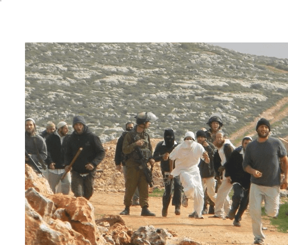 مستوطنون يهاجمون قرية اللبن