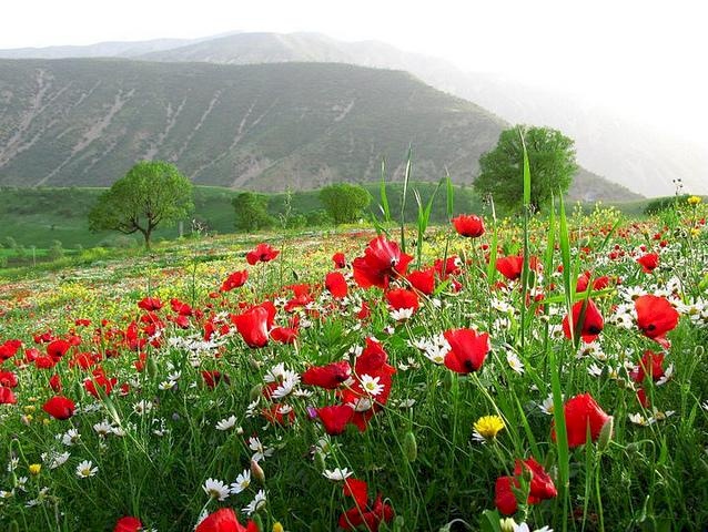 حالة الطقس: اجواء جميلة وصافية