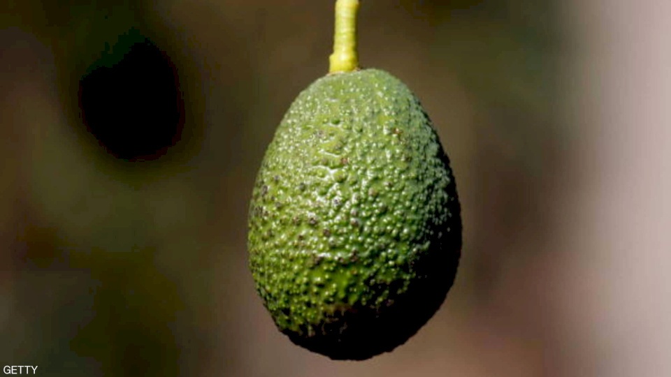 7 منشطات طبيعية