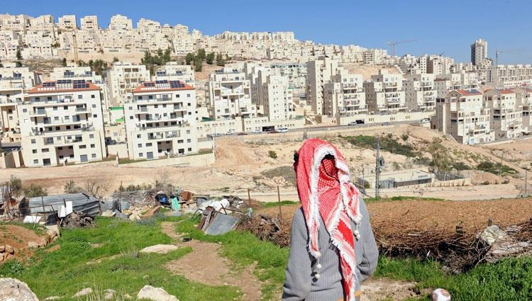 الاحتلال يستولي على 384 دونما في الأغوار الشمالية
