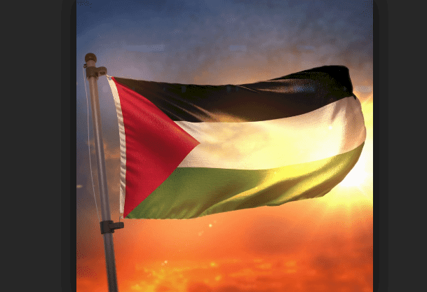 8 دول عربية وأوروبية تجتمع في إيرلندا لمناقشة القضية الفلسطينية