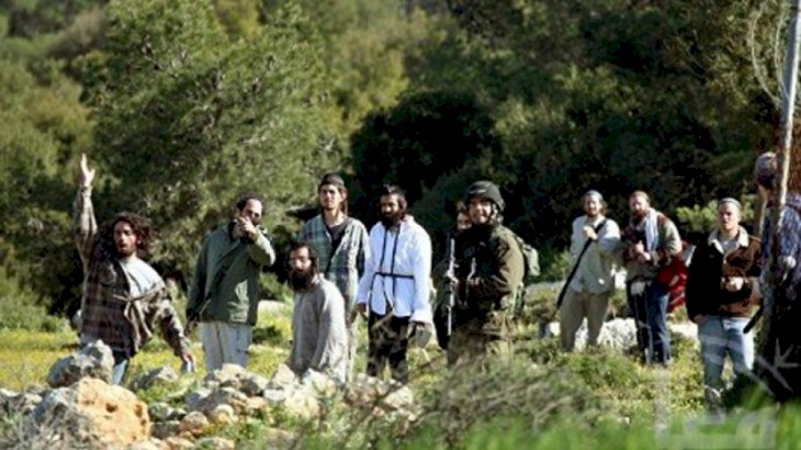 مستوطنون يطاردون رعاة الأغنام شرق يطا