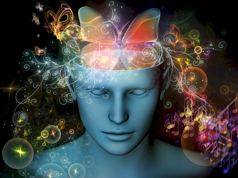 لكي ترفع من نسبة الذكاء لديك.. أطلق العنان لأحلامك