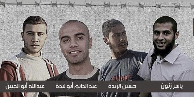 هل أفرجت مصر عن المختطفين الأربعة؟