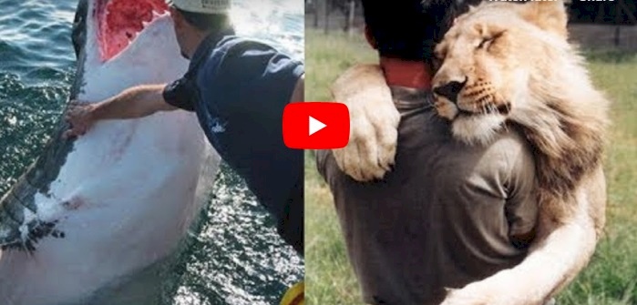أغرب الصداقات التي قامت بين " الأشخاص و الحيوانات "