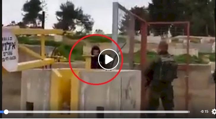 بالفيديو.. اعتقال فتاة بزعم حيازتها سكيناً في الخليل 