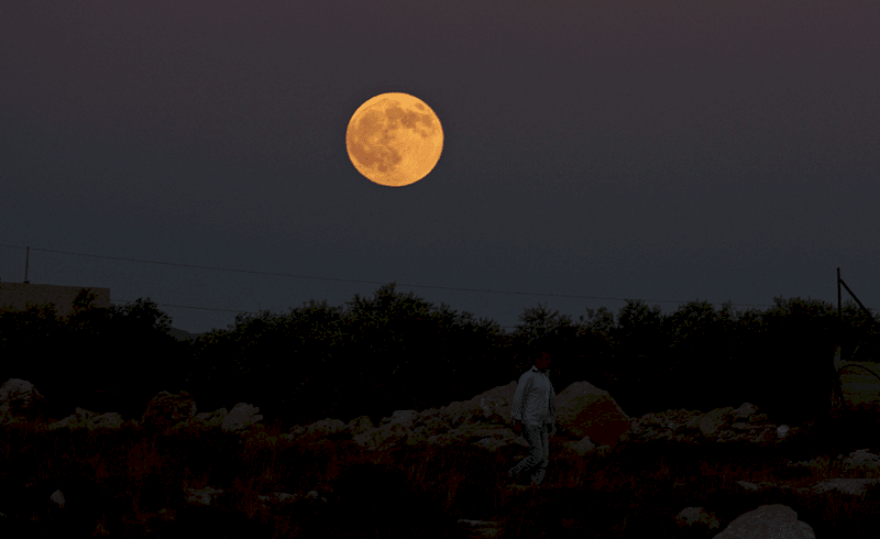 "القمر العملاق" في سماء فلسطين