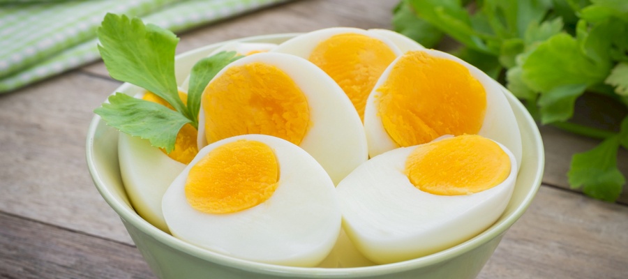 خبيرة تكشف كمية البيض الصحية التي يمكن تناولها