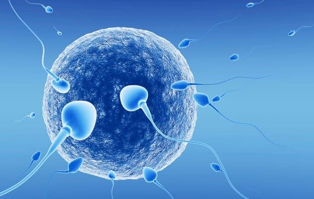 دراسة جديدة تمنح أملا للمصابين بالعقم
