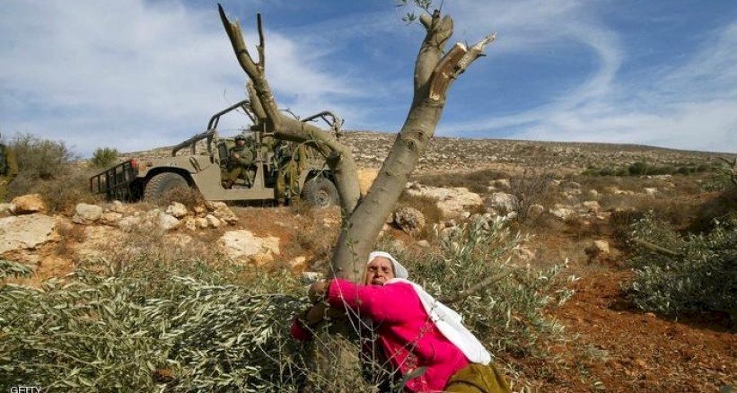 تفاصيل فعاليات يوم الأرض في الوطن والشتات