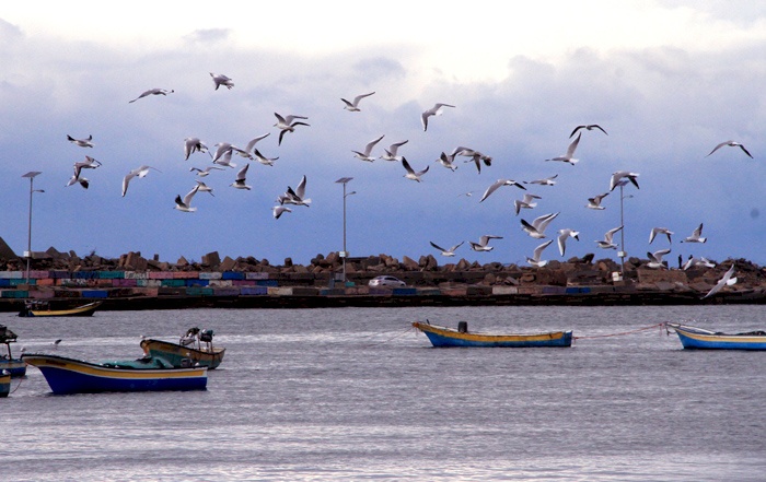 زوارق الاحتلال تستهدف مراكب الصيادين ببحر بيت لاهيا