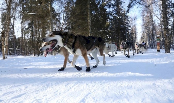 شتاء ساخن في ألاسكا.. وفلسطين أكثر برودة منها