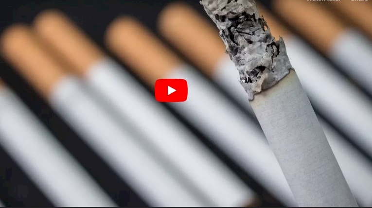 فيديو.. لماذا عمال لصنع السجائر لايدخنون؟ 