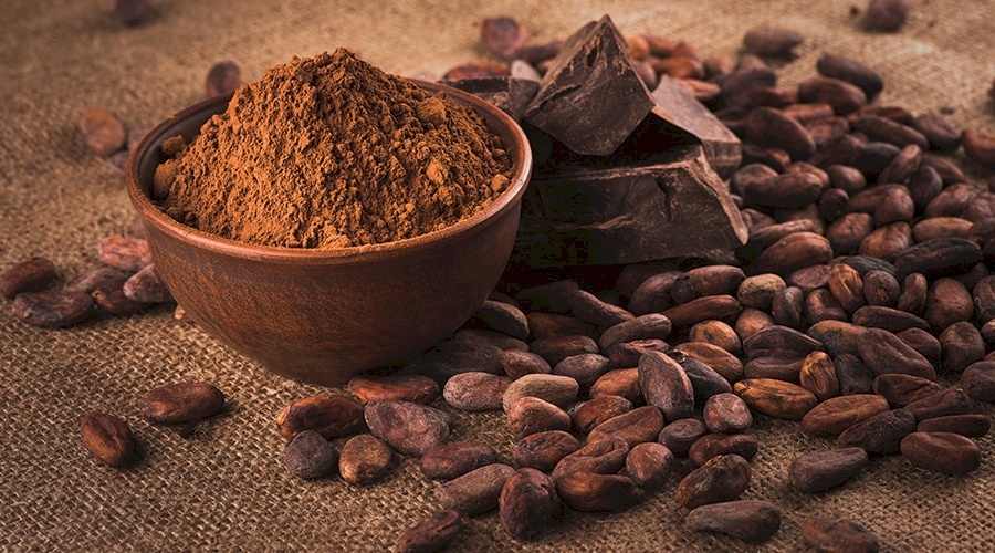 تعرف على أهمية الكاكاو