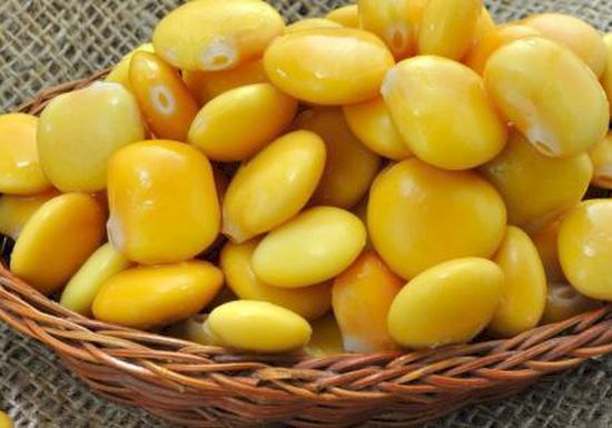 (الترمس) ضروري للجسم ويحمي من الأمراض المزمنة