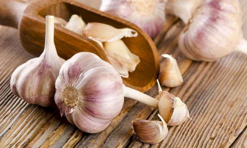 فوائد الثوم لا تعدّ ولا تُحصى..تعرف عليها