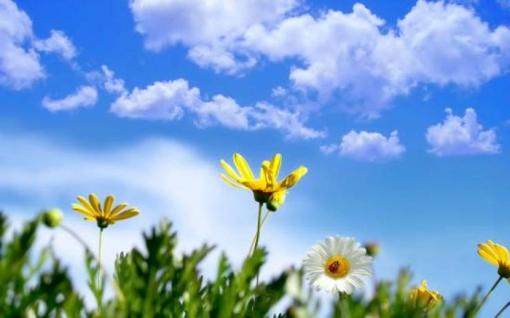 حالة الطقس: أجواء ربيعية 