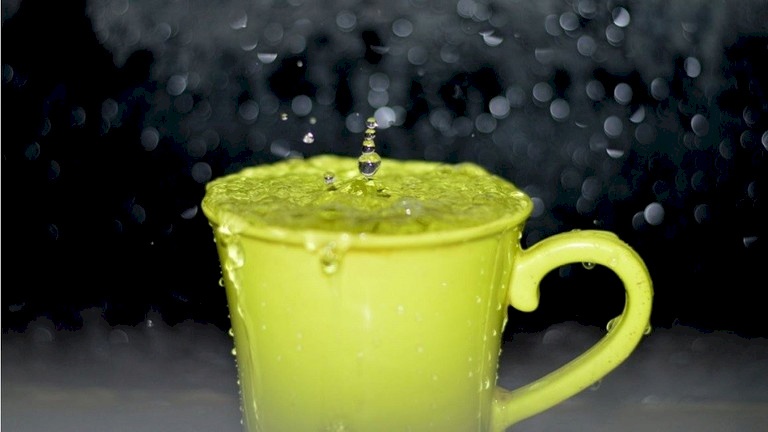 ما الذي ينقذ العالم من السمنة؟