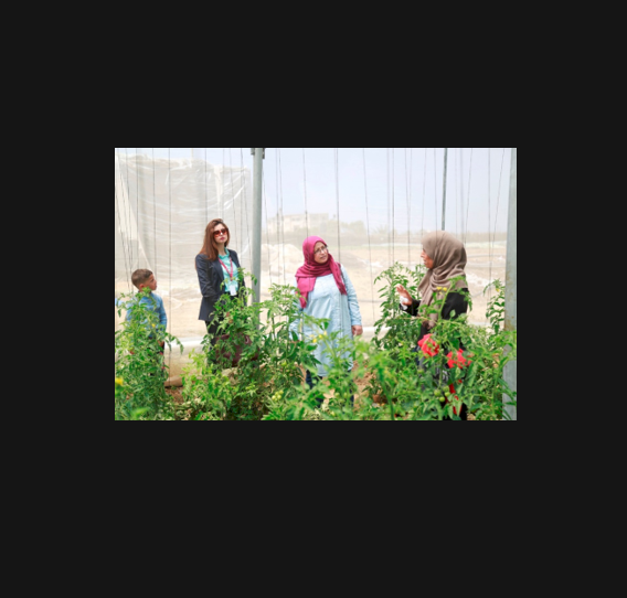 زيارة لمشاريع مدرة للدخل ضمن برنامج "وجد" لرعاية الأيتام بمشاركة بنك فلسطين ومؤسسة التعاون