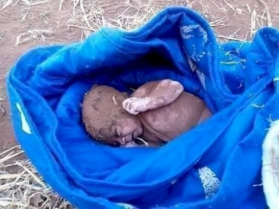 صور تقشعر لها الابدان: العثور على طفلة حديثة الولادة في صور باهر بالقدس