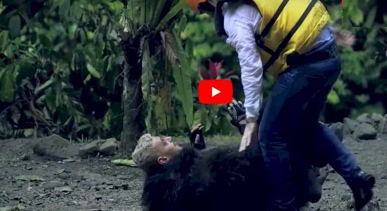 رد فعل وائل جسار بعد رؤية رامز جلال في مقلب رامز في الشلال