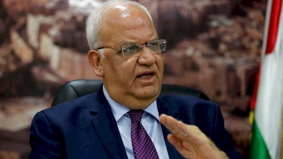 فيديو.. عريقات يتوقع فشل ورشة المنامة الاقتصادية