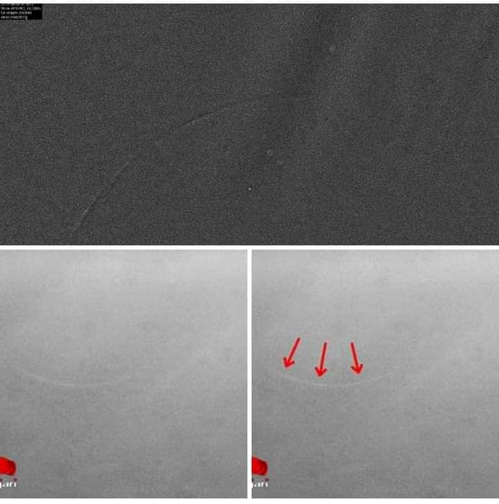 رسمياً: رؤية هلال شوال صباح اليوم الثلاثاء