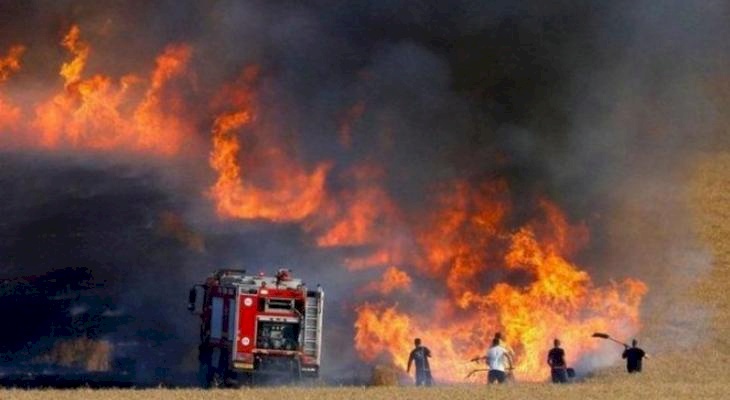 جنين.. النيران تلتهم 10 دونمات قمح