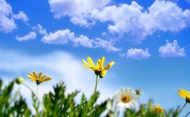 حالة الطقس: انخفاض على درجات الحرارة 