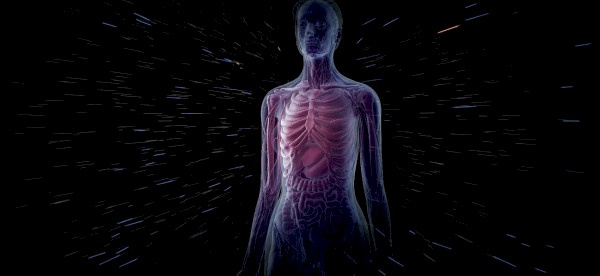 علمياً.. ماذا يحدث لجسم الإنسان بعد 100 عام من الوفاة؟