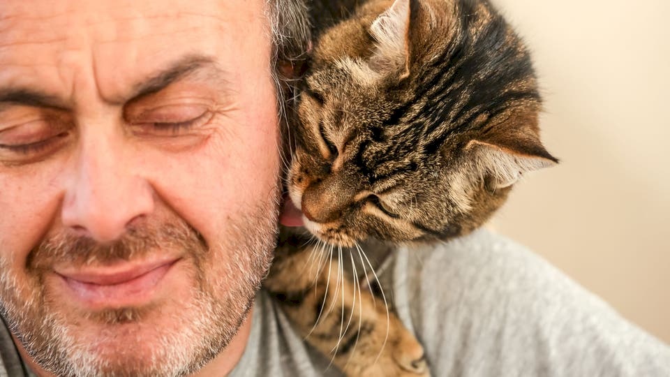 ما علاقة القطة بالاكتئاب؟ دراسة تعرض الفوائد