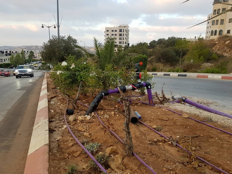 صور.. المشروع الأول من نوعه لبلدية رام الله.. تمديد شبكة ري باستخدام المياه المعالجة بديلا عن مياه الشرب