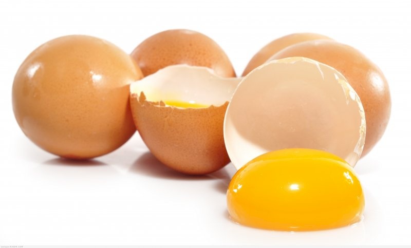 أسباب تجعلك تتناول البيض يوميًا