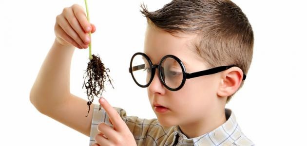 مواد كيميائية تخفض مستوى ذكاء الأطفال