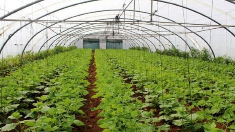 صندوق درء المخاطر يفتتح ورشة عمل حول البيوت البلاستيكية