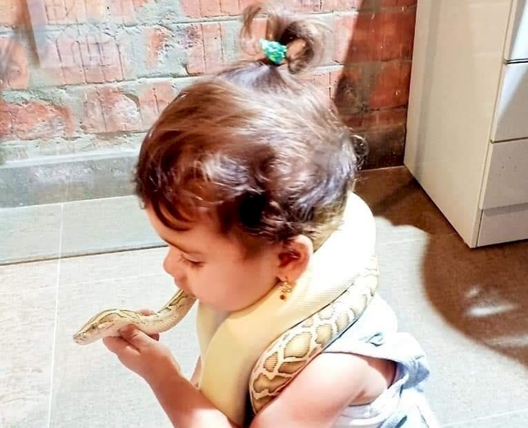بالصور.. طفلة تعشق الثعابين بجنون! 