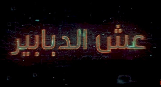 وطن تعرض تحقيق "عش الدبابير" الاربعاء