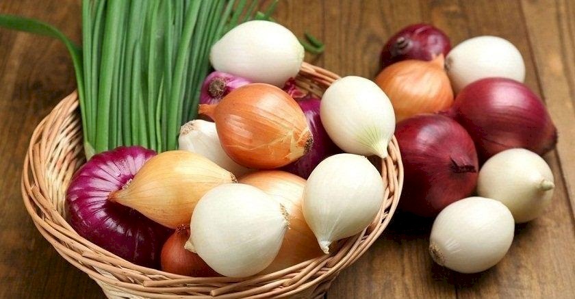 البصل والثوم منجمُُ من الفوائد