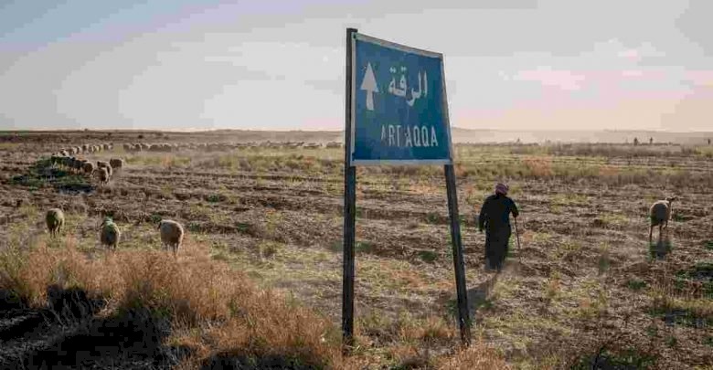 ذبح 20 راعياً سورياً في الرقة والجُناة مجهولون