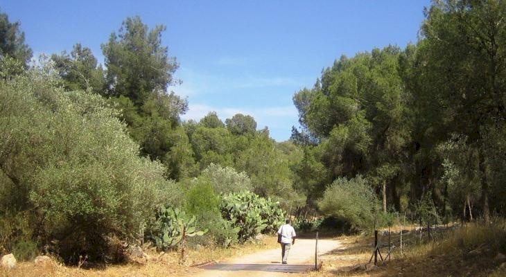 الاحتلال ينهب الارض بحجة المحميات الطبيعية