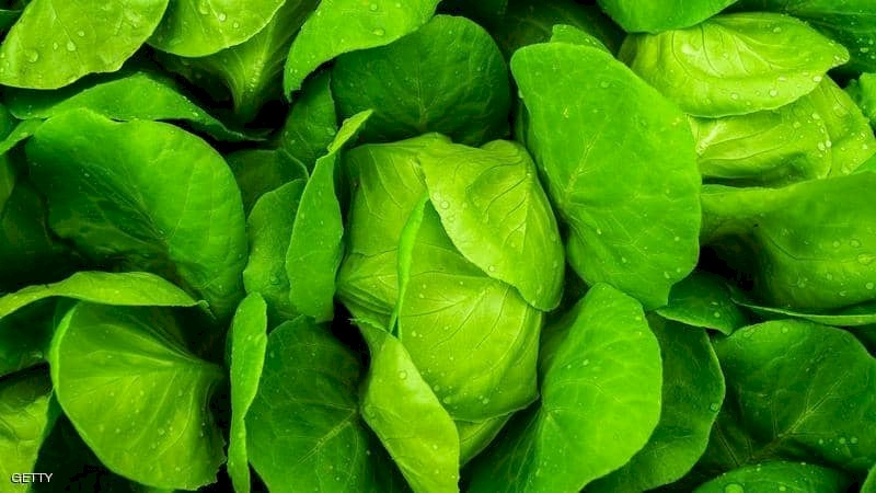الخس و الجزر قد تغنيك عن الخبز والأرز