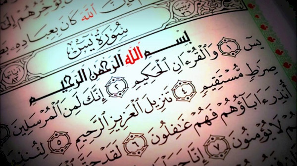 جامعة هارفارد: القرآن الكريم أفضل كتاب للعدالة