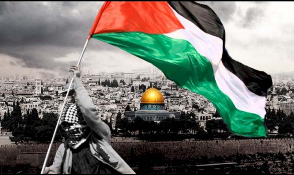 "جوجل" يُزوّر مساحة فلسطين الحقيقية